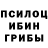 Галлюциногенные грибы GOLDEN TEACHER Goykop Gema