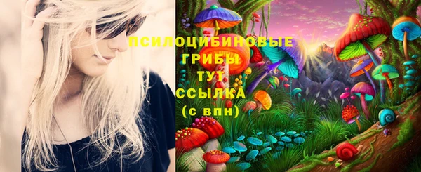 винт Алзамай