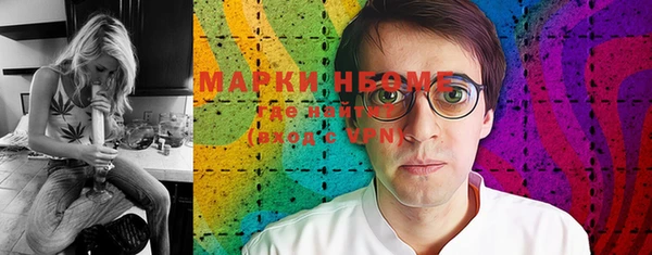хмурый Алексин