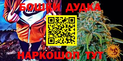 крисы Чебаркуль