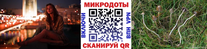 Галлюциногенные грибы ЛСД  Усть-Лабинск 