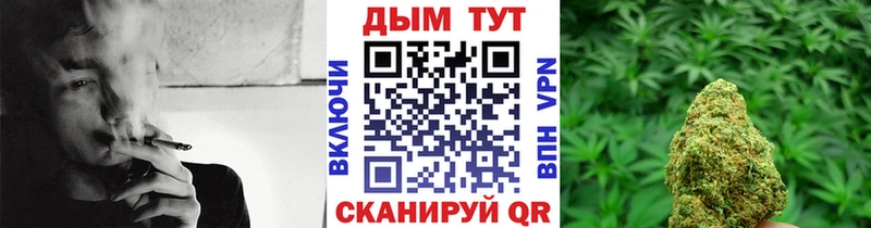 Бошки марихуана планчик  где купить наркотик  Усть-Лабинск 